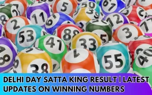 Delhi-Day-Satta-King-Result